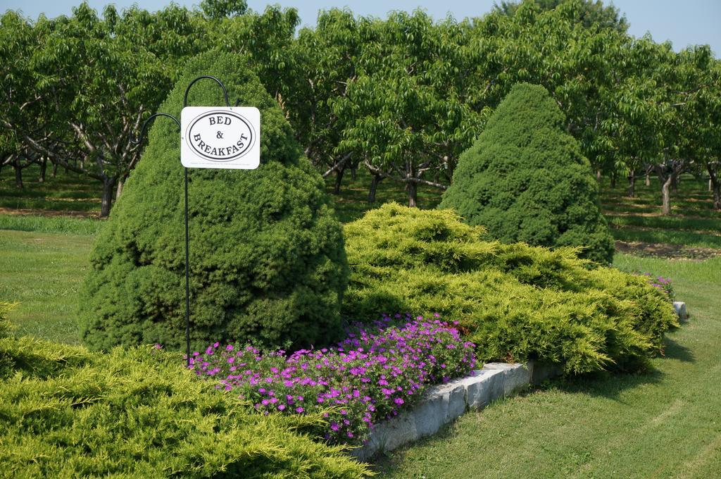 On The 6 Bed And Breakfast Niagara-on-the-Lake Екстериор снимка