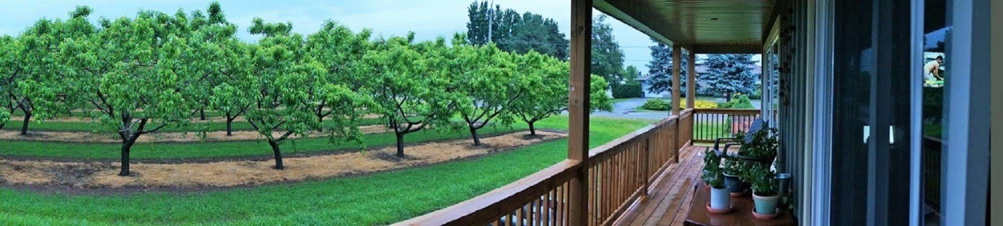 On The 6 Bed And Breakfast Niagara-on-the-Lake Екстериор снимка
